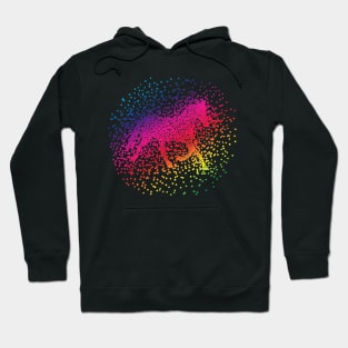 Colour Dapple Hoodie